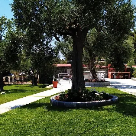 Dimitris House Διαμέρισμα Καλογριά